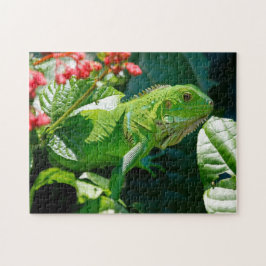 Green Iguana Lizard Puzzle