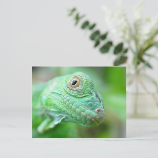 Green Iguana Lizard Reptile auf der linken Postkar Postkarte (Stehend Vorderseite)