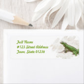 Green Iguana Lizard Rücksendeadresse (Insitu)