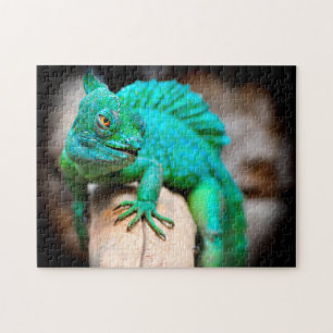 Green Iguana Nah-up, Jigsaw Puzzle