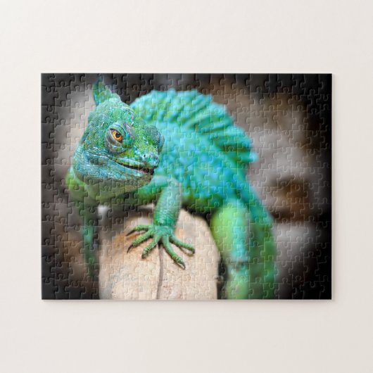 Green Iguana Nah-up, Jigsaw Puzzle (Horizontal)