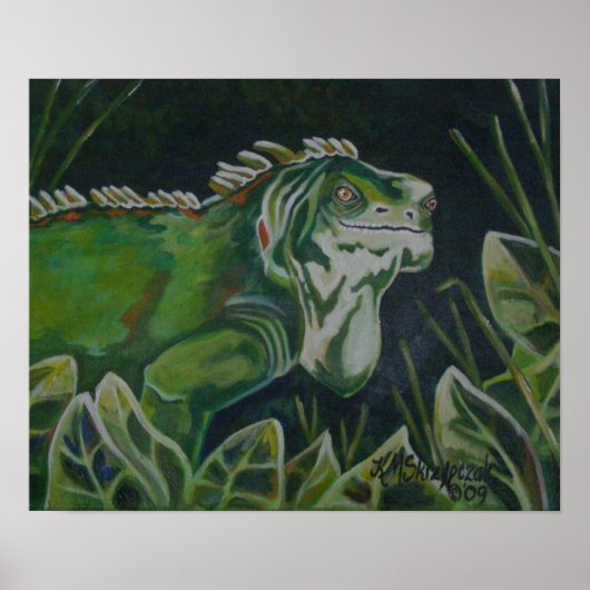 Green Iguana Poster (Vorne)