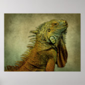 Green Iguana Poster (Vorne)