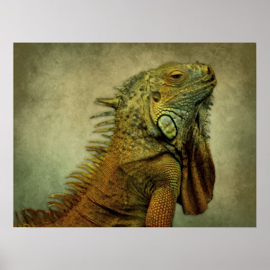 Green Iguana Poster (Vorne)