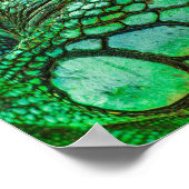 Green Iguana Poster (Ecke)