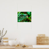 Green Iguana Poster (Küche)