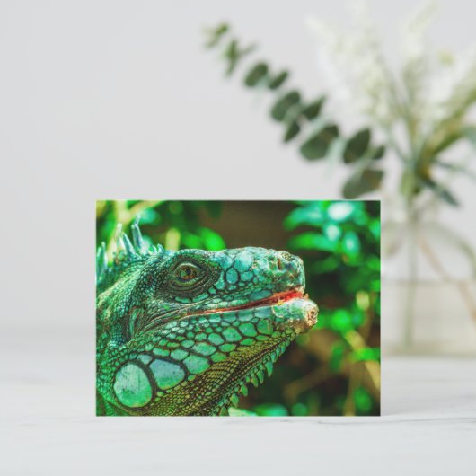 Green Iguana Postkarte (Stehend Vorderseite)