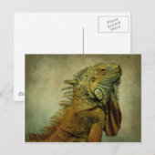Green Iguana Postkarte (Vorne/Hinten)