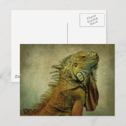 Green Iguana Postkarte (Vorne/Hinten)