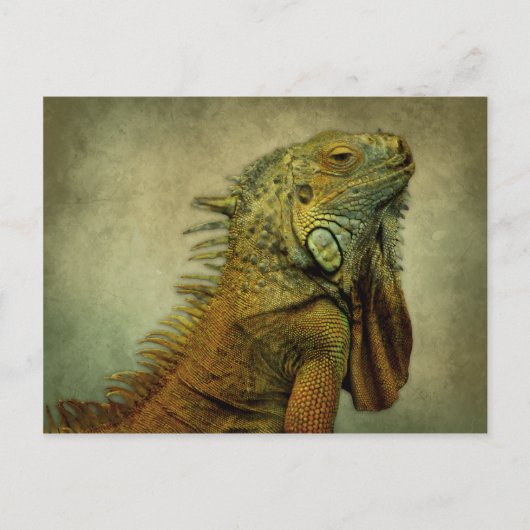 Green Iguana Postkarte (Vorderseite)