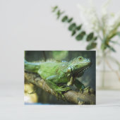 Green Iguana Postkarte (Stehend Vorderseite)
