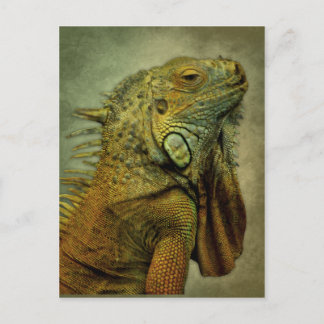 Green Iguana Postkarte