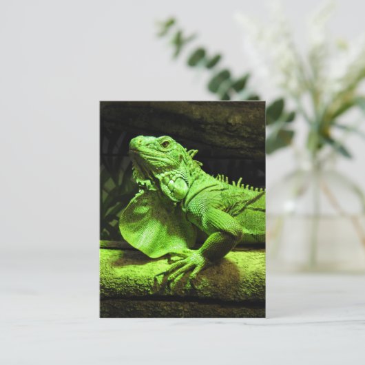 Green Iguana Postkarte (Stehend Vorderseite)