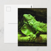 Green Iguana Postkarte (Vorne/Hinten)