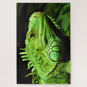 Green Iguana Puzzle (Vertikal)