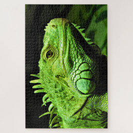 Green Iguana Puzzle