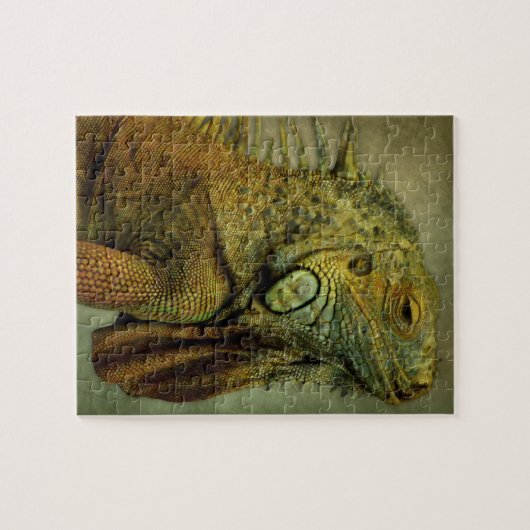 Green Iguana Puzzle (Horizontal)
