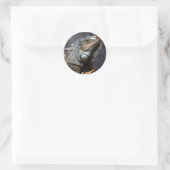 Green Iguana Runder Aufkleber (Tasche)