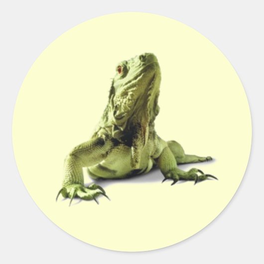 Green Iguana Stickers (Vorderseite)