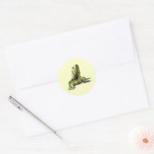 Green Iguana Stickers (Umschlag)