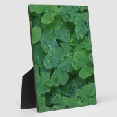 Green Irish Clover Fotoplatte (Seite)