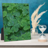 Green Irish Clover Fotoplatte (Seite)