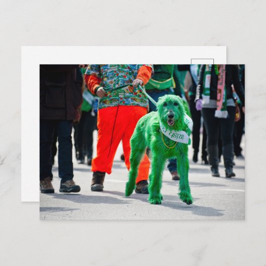 Green Irish Wolfhound Dog St. Patrick's Day Parade Postkarte (Vorne/Hinten)