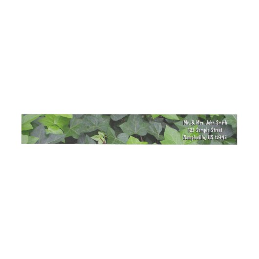 Green Ivy Botanical Print (Person)