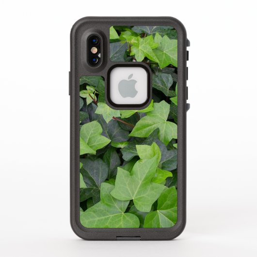 Green Ivy Botanical Print (Rückseite)