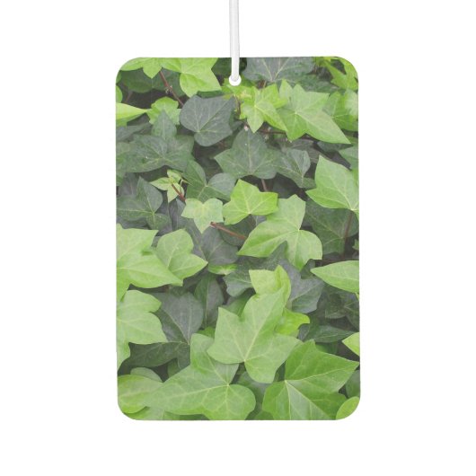 Green Ivy Botanical Print Autolufterfrischer (Vorderseite)