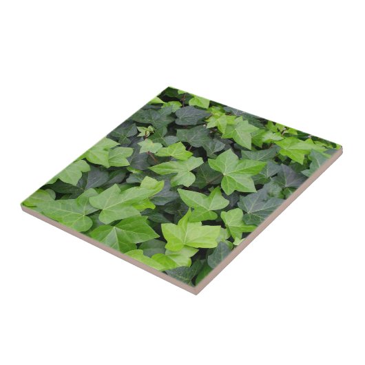 Green Ivy Botanical Print Fliese (Seite)