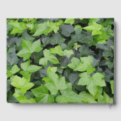 Green Ivy Botanical Print Gästebuch (Rückseite)