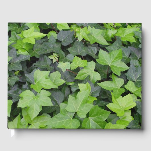 Green Ivy Botanical Print Gästebuch (Vorderseite)