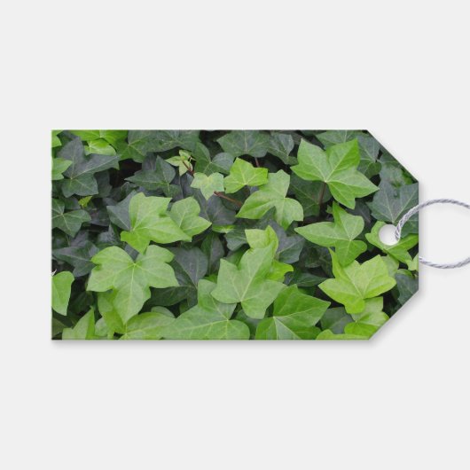 Green Ivy Botanical Print Geschenkanhänger (Vorderseite (Horizontal))