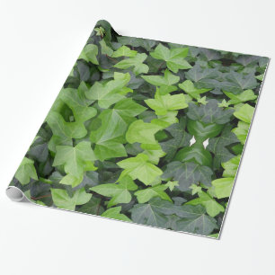 Green Ivy Botanical Print Geschenkpapier