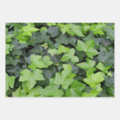 Green Ivy Botanical Print Geschenkpapier Set (Vorderseite)