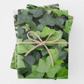 Green Ivy Botanical Print Geschenkpapier Set (Beispiel)