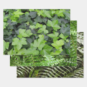 Green Ivy Botanical Print Geschenkpapier Set