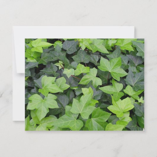 Green Ivy Botanical Print Karte (Vorderseite)
