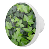 Green Ivy Botanical Print Keramikknauf (Rechts)