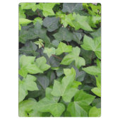 Green Ivy Botanical Print Klemmbrett (Rückseite)