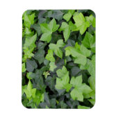 Green Ivy Botanical Print Magnet (Vertikal)