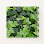 Green Ivy Botanical Print Notizblock (Rückseite)