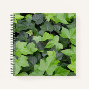 Green Ivy Botanical Print Notizblock
