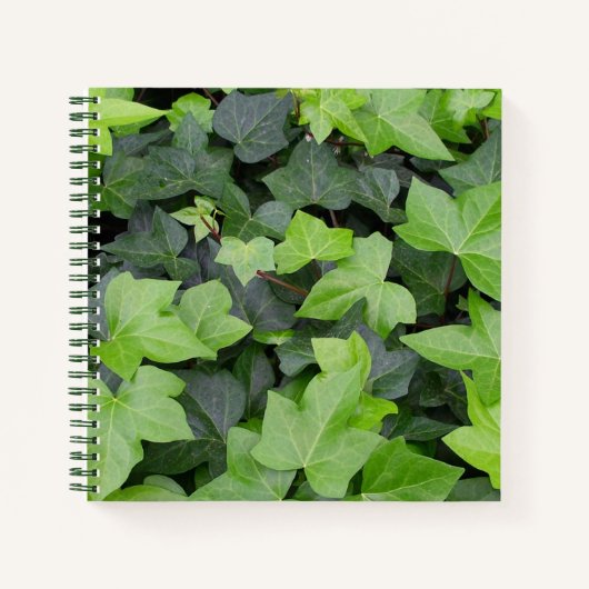 Green Ivy Botanical Print Notizblock (Vorderseite)