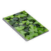 Green Ivy Botanical Print Notizblock (Rechte Seite)