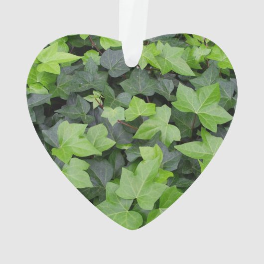 Green Ivy Botanical Print Ornament (Rückseite)