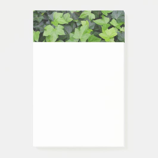 Green Ivy Botanical Print Post-it Klebezettel (Vorderseite)