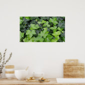 Green Ivy Botanical Print Poster (Küche)