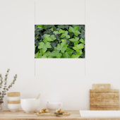 Green Ivy Botanical Print Poster (Küche)